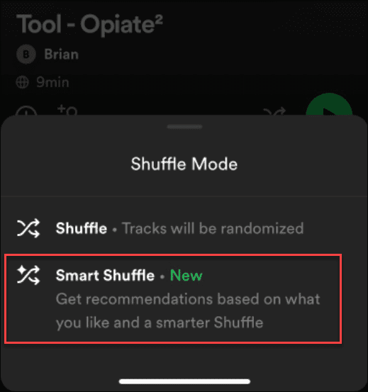behoben, dass Spotify Shuffle nicht mischt
