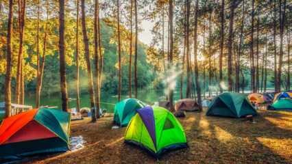 Die besten Campingrouten für den Herbst! Die schönsten Campingplätze, auf denen Sie im Herbst ein Zelt werfen können