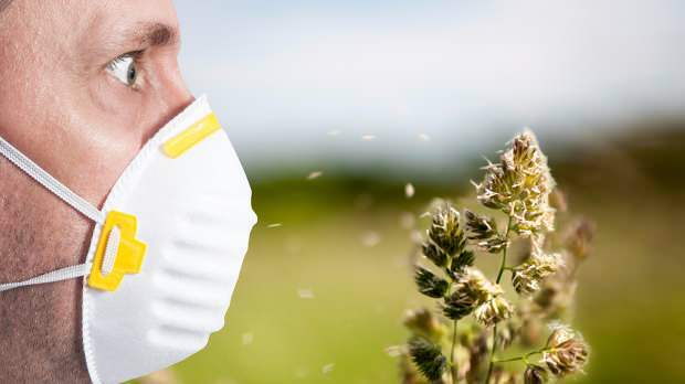 Frühlingsallergie wird durch Pollen, Haustiere, erhöhte Temperatur und Staub verursacht