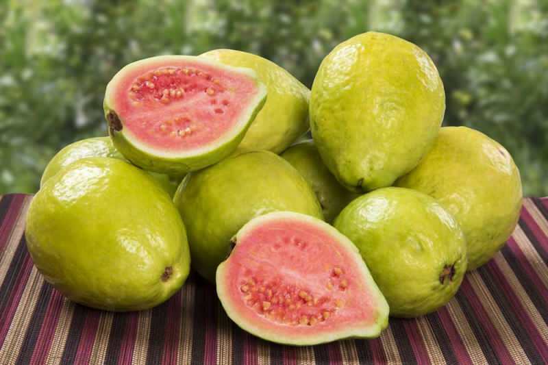 Guavan Frucht geht als Erdbeere 