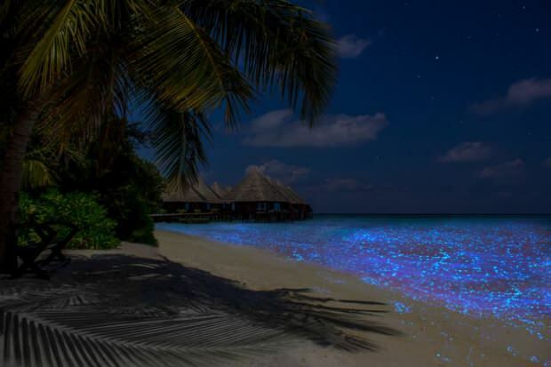 Malediven Vaadhoo Island