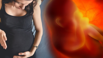 Menstruiert es während der Schwangerschaft? Ursachen und Arten von Blutungen während der Schwangerschaft