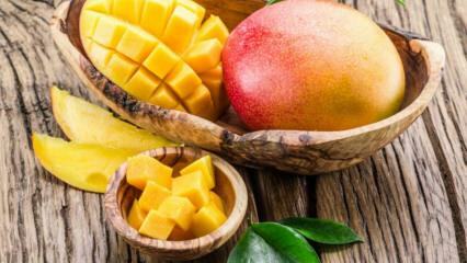Was sind die Vorteile von Mango? Für welche Krankheiten sind Mangos gut? Was passiert, wenn Sie regelmäßig Mangos konsumieren?