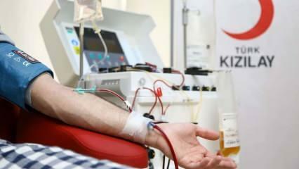 Wo und wie Blut spenden? Was sind die Bedingungen für die Blutspende?