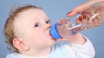Sollten Babys Wasser bekommen?
