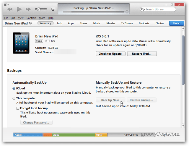 Sichern des iPad über iTunes