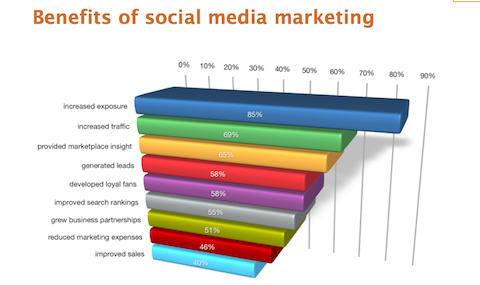 Bericht der Social Media Marketing-Branche 2012