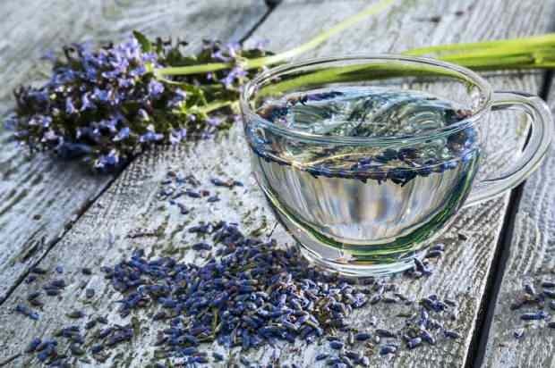 Lavendel Tee ist gut für chronische Schlaflosigkeit