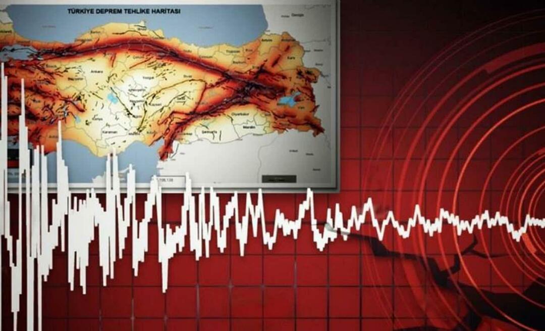 Was sind die Erdbebenzonen in der Türkei? Wie mache ich eine Fehlerlinienabfrage?