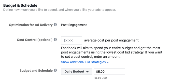Schritt 5 zum Einrichten einer Facebook-Engagement-Kampagne zur Förderung der Kundenumfrage