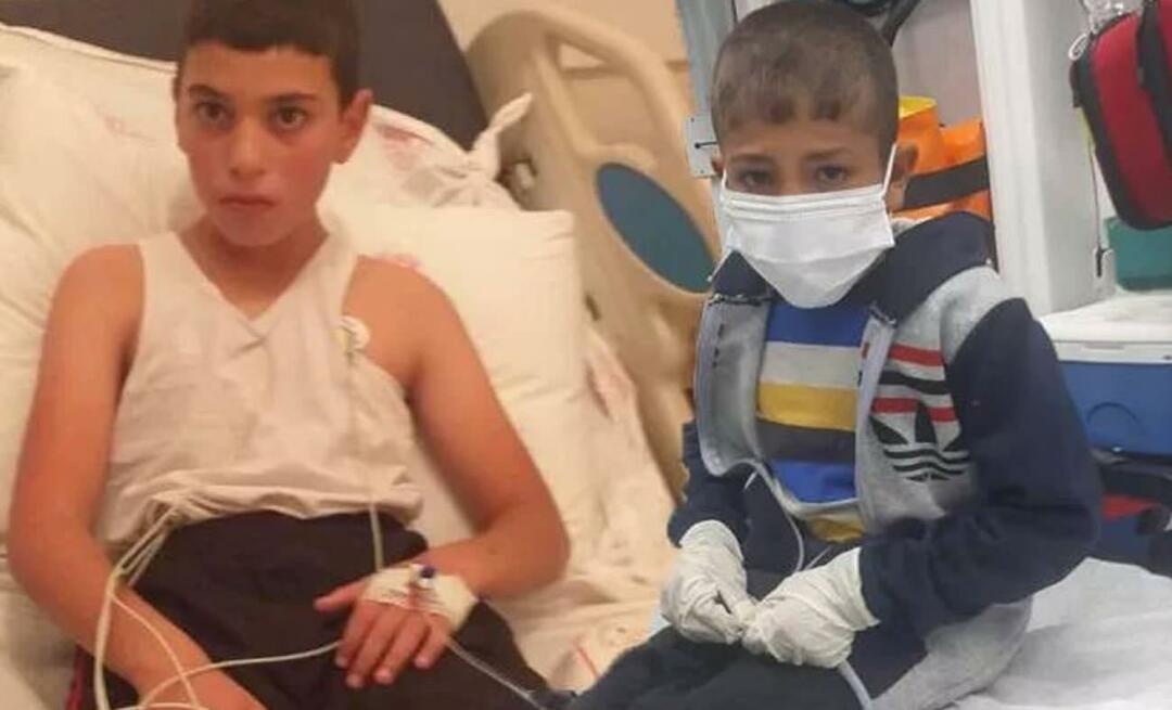 Das Kind mit Tollwut liegt auf der Intensivstation! Bahadır Yenişehirlioğlu schlug um sich