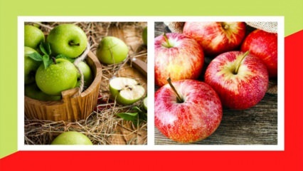 Werden grüne und rote Äpfel an Gewicht zunehmen? Abnehmen mit ödematöser Entgiftung mit grünem Apfel