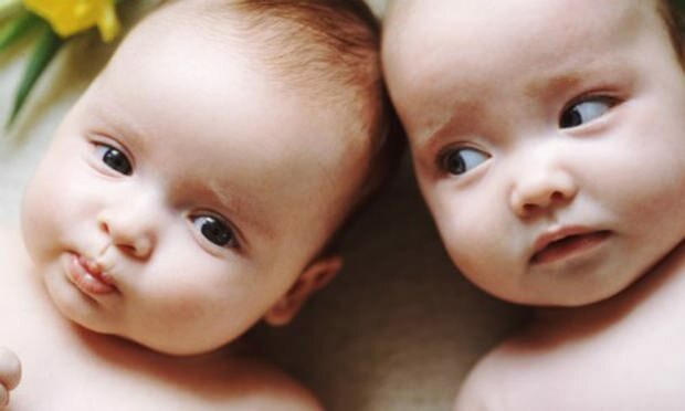 Wenn es Zwillinge in der Familie gibt, steigt dann die Wahrscheinlichkeit einer Zwillingsschwangerschaft? Generation Pferde?