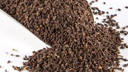 Was sind die Vorteile von Uzerlik-Saatgut? Wie macht man die Samen von Üzerlik Tee?
