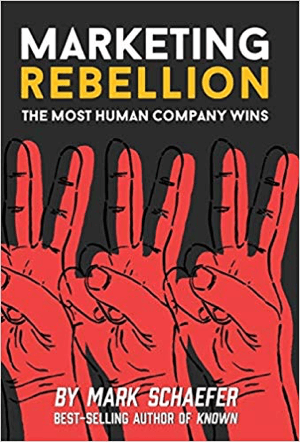 Marketing-Rebellion: Die menschlichsten Unternehmenssiege von Mark Schaefer.