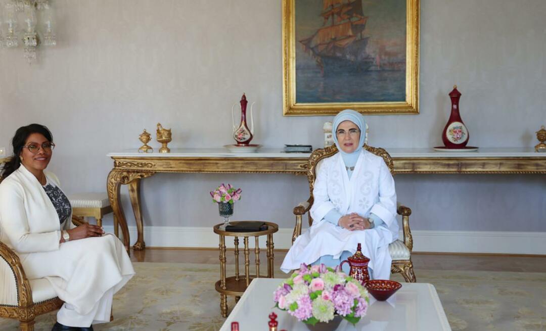 First Lady Erdoğan traf sich mit Malcolm Xs Tochter İlyasa Şahbaz