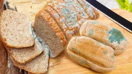 Wie verhindert man, dass Brot im Ramadan schimmelt? Möglichkeiten, um zu verhindern, dass Brot altbacken und schimmelig wird