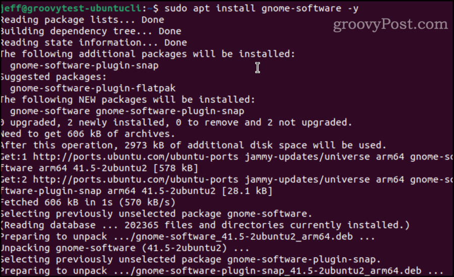 apt installiert die Gnome-Software