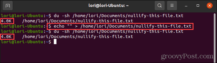 Verwenden des echo-Befehls mit leeren Anführungszeichen in Linux