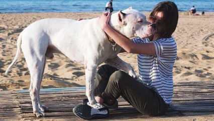 Die junge Schauspielerin Alina Boz verabschiedete sich von ihrem toten Hund! Wer ist Alina Boz?