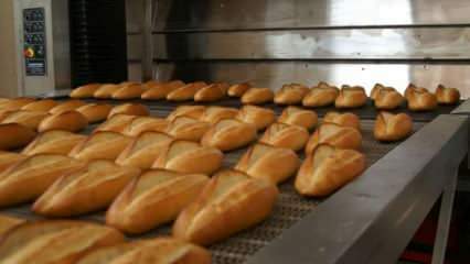 Experten gewarnt: Legen Sie die Brote 10 Minuten lang in den 90-Grad-Ofen