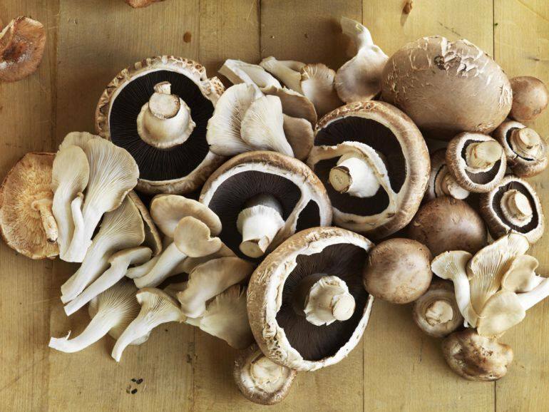 Tricks zum Kochen von Pilzen