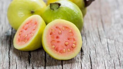 Was ist Guavenfrucht? Was sind die Vorteile?