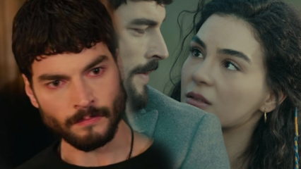 Hercais TV-Serienbeschreibung von Miran Akın Akınözü!