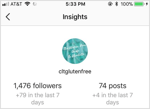 Instagram Insights Übersicht