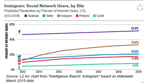 Nutzer sozialer Netzwerke nach Website von emarketer 2015