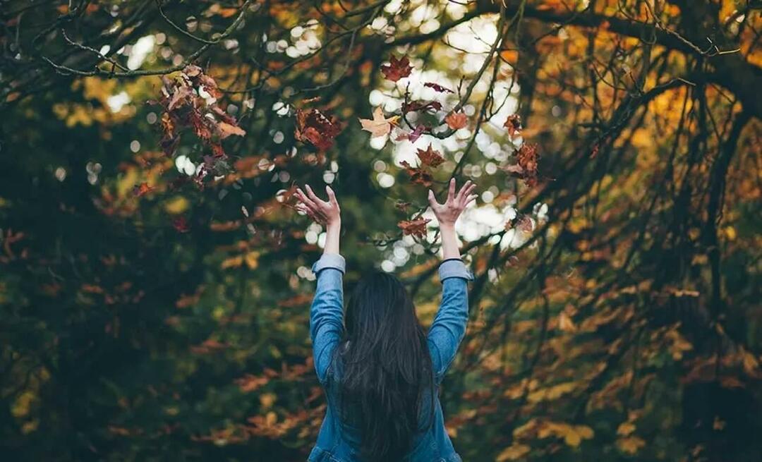 Möglichkeiten, mit Herbstdepressionen umzugehen! Symptome des Herbstsyndroms