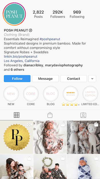 Beispiel für eine für Unternehmen optimierte Instagram-Bio
