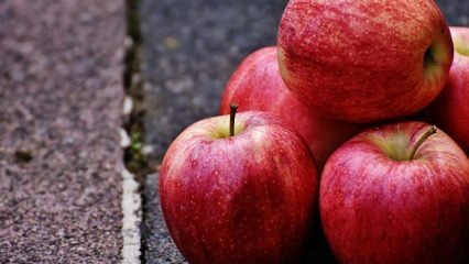 Was sind die Vorteile des Verzehrs von Äpfeln während der Schwangerschaft?
