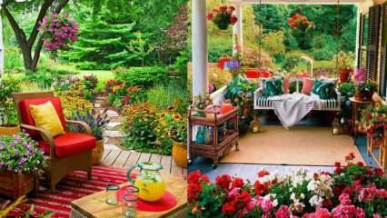 Blumen, die Sie im Herbst in Ihrem Garten und Balkon verwenden können!