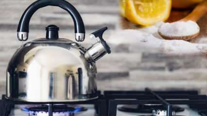 Wie reinige ich den Kesselkalk? 5 einfache Methoden, um Kalk aus der Teekanne zu entfernen