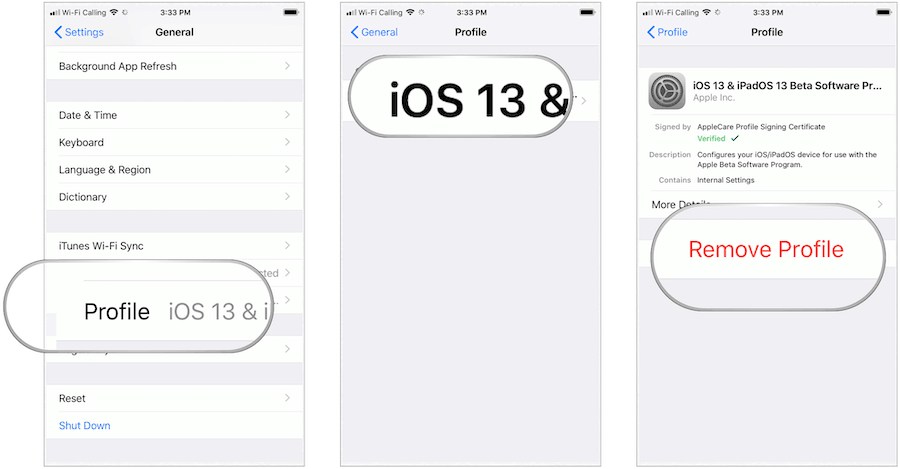 Remote-iOS 13-Profil