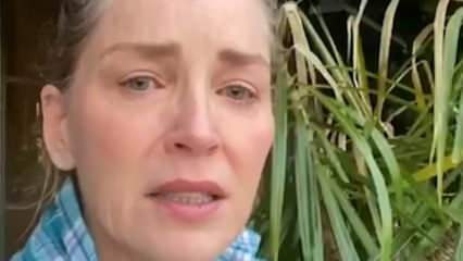 Sharon Stone kündigte live an: Ich habe meine spirituelle Großmutter durch Coronavirus verloren!
