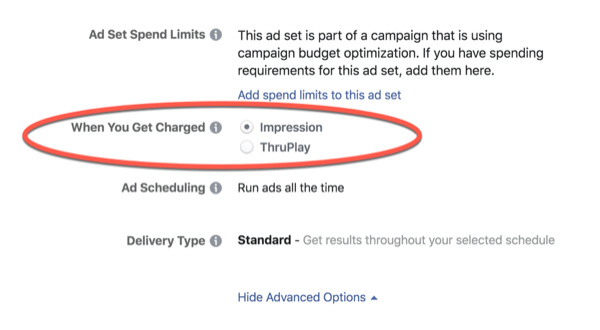 Gebühren für die Facebook ThruPlay-Optimierung.