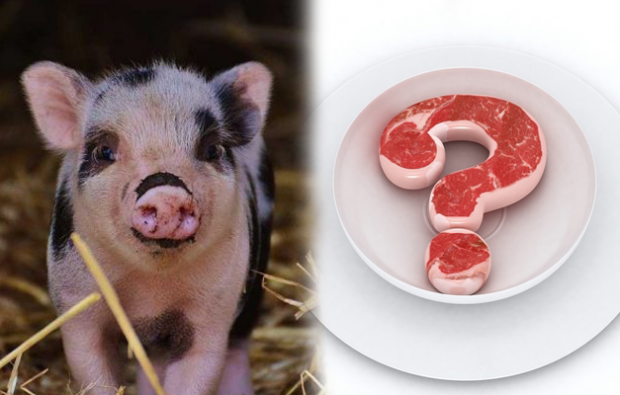 Ist es verboten, Schweinefleisch zu essen?