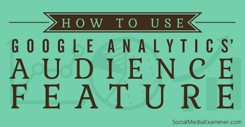Google Analytics-Publikum