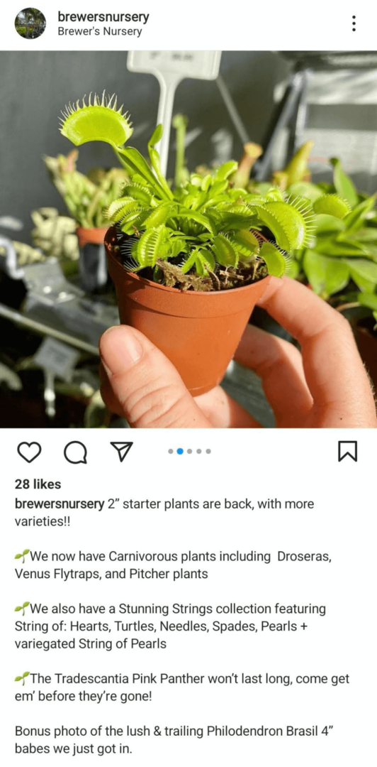 Bild eines Instagram-Feed-Beitrags, der ein Produkt zeigt