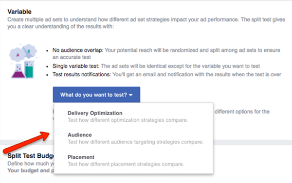 Wählen Sie aus, welche Variable in Ihrer Facebook-Kampagne getestet werden soll.