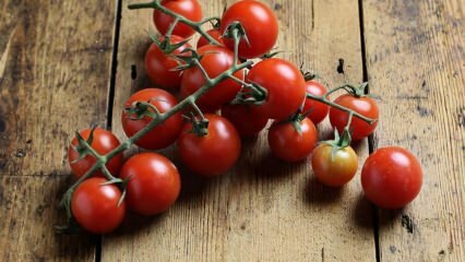 Wie kann man Tomatenfäule verhindern? Wie kann man Tomatenmotten vorbeugen? 