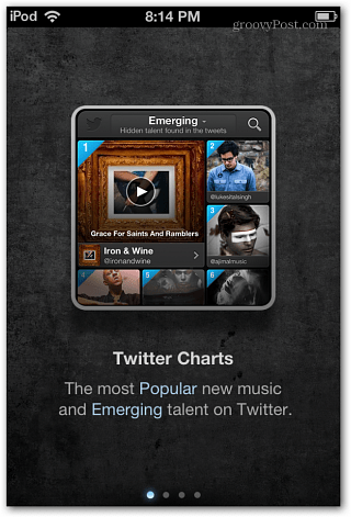 iOS Twitter Musik