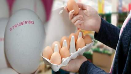 Wie wird Bio-Ei verstanden? Was bedeuten die Codes des Eies?