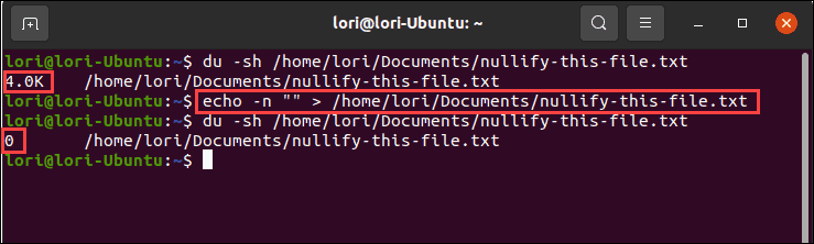 Verwenden des echo-Befehls mit Nullausgabe in Linux