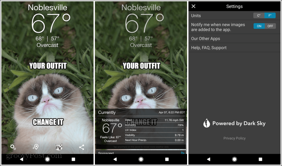 mürrische Katze Wetter App