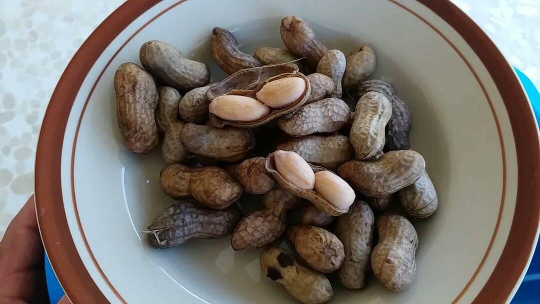 Gekochte Erdnüsse 