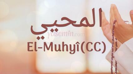 Was bedeutet al-muhyi (cc)? In welchen Versen wird al-Muhyi erwähnt?