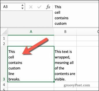 Umbrechen von Text in Excel mit Zeilenumbrüchen.